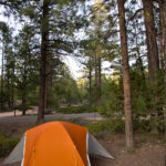 Comment préparer votre première aventure en camping