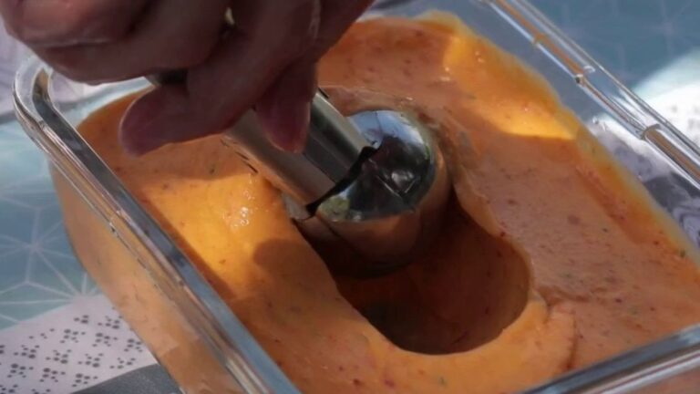 Gastronomie : la glace maison, elle a tout bon
          Pour se faire plaisir et se rafraîchir l'été, de plus en plus de Français optent pour les glaces faites maison, réalisées à l'aide d'appareils simples d'utilisation.