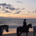 Landes : à cheval, en kayak ou à vélo, des promenades inoubliables entre dunes et forêts
          Le 13 Heures Découverte poursuit sa plongée au cœur des Landes. Focus, ce jeudi 4 juillet, sur une piste cyclable en pleine nature, du kayak nocturne et une randonnée à cheval au coucher du soleil.